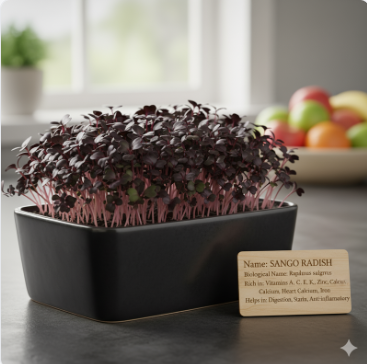 Microgreens tray 4